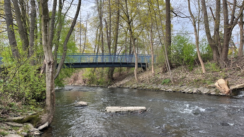 Dhünnbrücke Schlebuschrath